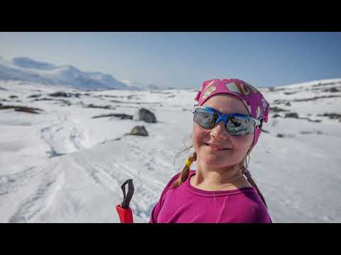 Haltin valloitus 2019