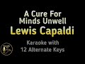 Lewis Capaldi - A Cure For Minds Unwell Karaoke Instrumental Lower Higher Female & Original Key