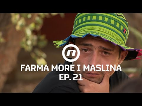 Zdenka je bijesna - Epizoda 21 | Farma More i Maslina