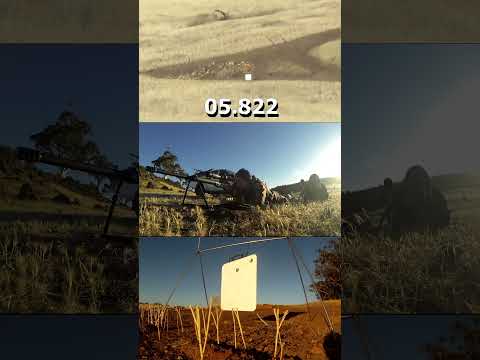 Norma Whitetail Ammo - Full Review of all Loadings