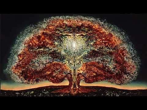 DJ Dox - PsyFriday @ Organica week 18 2025