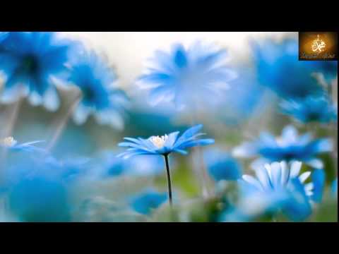 70 Porosit e Muhamedit s a v s    Porosia 20