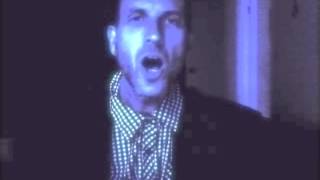 Jimmy Flemion - Diamond Meadows (T. Rex Cover)