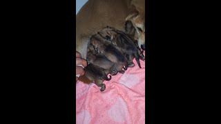 Download lagu Forged in Fire, Tempered in Water Dec 15 mp3 Download lagu Forged in Fire, Tempered in Water Dec 15 mp3