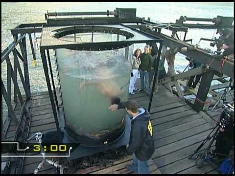 Fear Factor UK - Sn 1: Ep.12