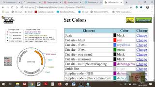 Using NEBcutterv2