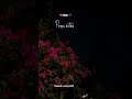 Parthal Parka Thondrum Lyrics Tamilsong Whatsappstatus Blackscreenstatus Tamillyricalvideo