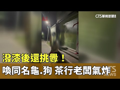 潑漆後還挑釁！　喚同名龜.狗　茶行老闆氣炸