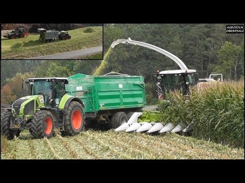 Maisernte mit Pflücker - Claas Jaguar 950 - Claas Axion 930 - Claas Xerion 3800 Trac VC