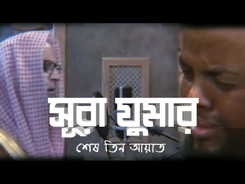 ❤ সূরা যুমার শেষ তিন আয়াত | Surah Zumar by Hassan Saleh, Heart Soothing Voice