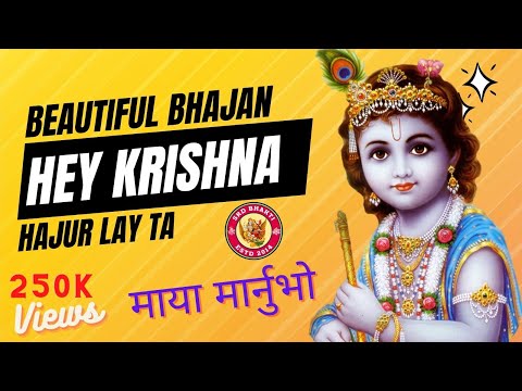 Hey Krishna Hajur Lay Ta Maya Marnu Vo -  Raju Adhikari Nepali Bhajan #srdbhakti #bhajan
