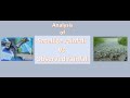 Analysis Of Observed And Satellite Rainfall Data Sets Part 2