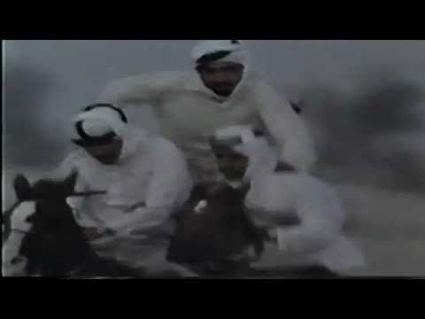 img-video