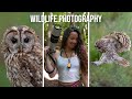 Birds of Prey Photography | Scottish Photography Hides | Fujifilm X-T5, X-H2S & 150-600mm