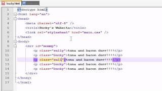 HTML5 Tutorial - 7 - negation pseudo-class