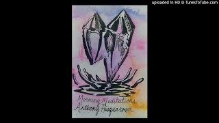 Anthony Pasquarosa - For the Birds of Morning