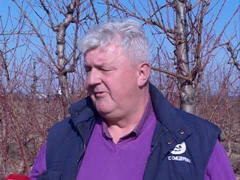 11  EMISIJA AGRO PODUNAVLJE