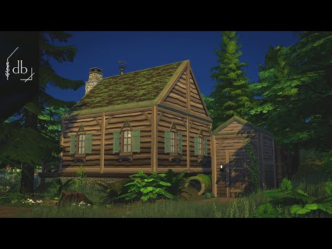 Hagrid's Hut | The Potter Project | Pt 3
