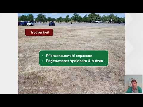 Gemeindewebinar: Öffentliche Grünflächen klimafit gestalten, 27. August 2021