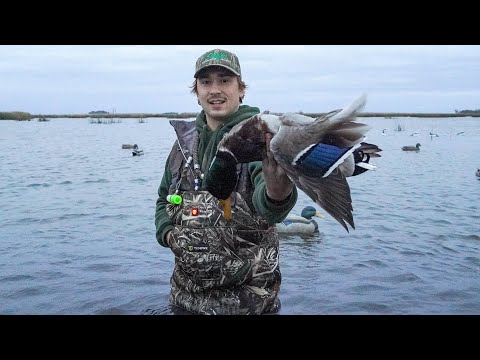 Duck Hunting big Water MALLARDS!