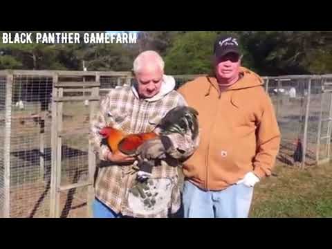 Rare video of Bruce Barnett and Steve Landers, brief history of Bruce Barnett Sweaters.