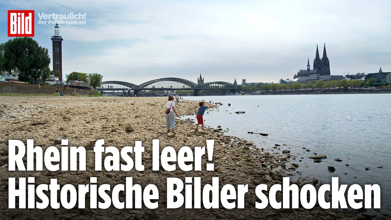 Aufnahmen von 1949 zeigen krasse Dürre: Schon damals kein Wasser im Rhein | Vertraulich