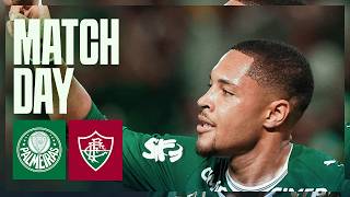 DE VOLTA AO BRASILEIRO! BOLETIM PRÉ-JOGO DE PALMEIRAS X FLUMINENSE