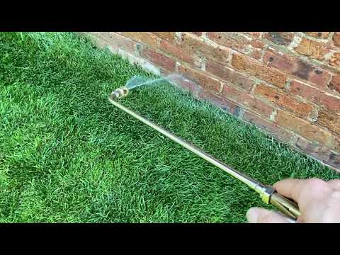 Leaky A/C Line Leads to Ant Infestation in Manasquan, NJ