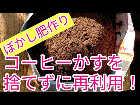 ツバキ科の維持：コーヒーかすをツバキの肥料として使えますか？  庭園