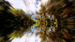 Jesse Cook "Closer to Madness"