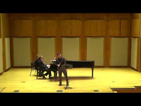 Bolcom | Graceful Ghost Rag-----S.Pallottelli, flute - W.Braun, piano