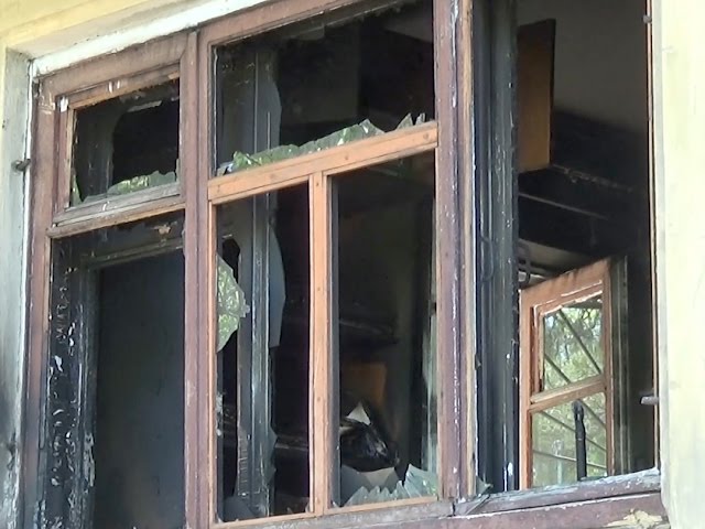 Месть браконьеров?