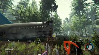 THE FOREST とある田舎のゲーム部 のライブ配信