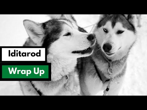 Iditarod 2023 Wrap Up | Mushing Radio