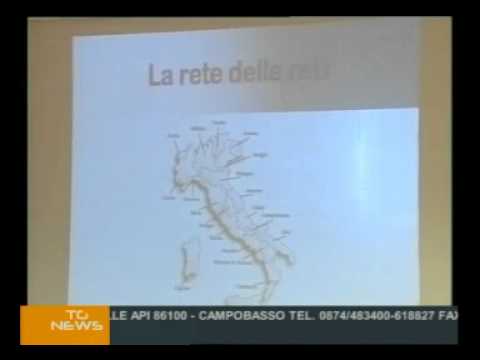 Mal di schiena perché inferiore con un movimento brusco Dolore nella regione toracica della schiena e tosse