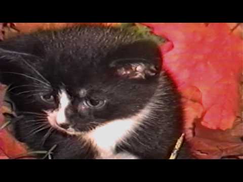 You can't escape growing up