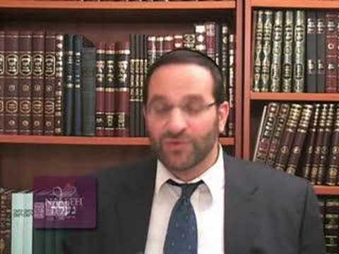 Jewish Torah Insights: Short Vort on Parshat Vayechi