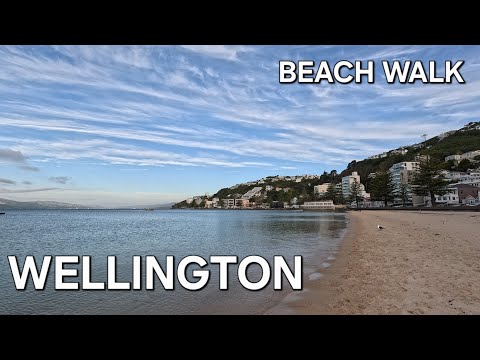 🩴 Golden Hour beach walk 💛 Wellington's Oriental Bay on a calm evening! #relaxing #beach #oceanwaves