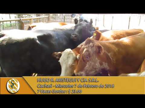 07-02-18 Venta de Hacienda al Kilo - Hugo R. Aristegui y Cia S.R.L. - Cacharì.