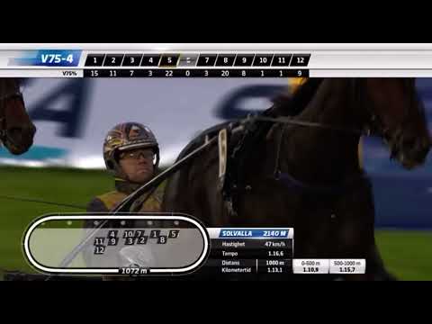 Svenskt Trav Oaks 2023 - Adriatica