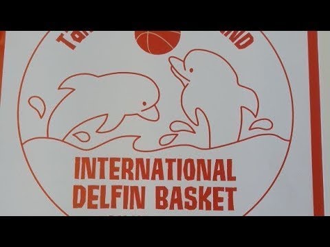 Delfin Basket P04 WaPa - LrNMKY