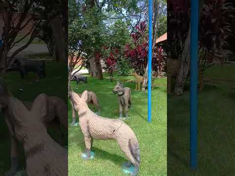 Parte 2 Fevereiro  2026 - Restaurante CASARÃO GOIANO  - Cezarina  - GO