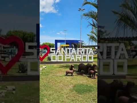 Santa rita do pardo ms #santaritadopardo #matogrossodosul #trabalhorural