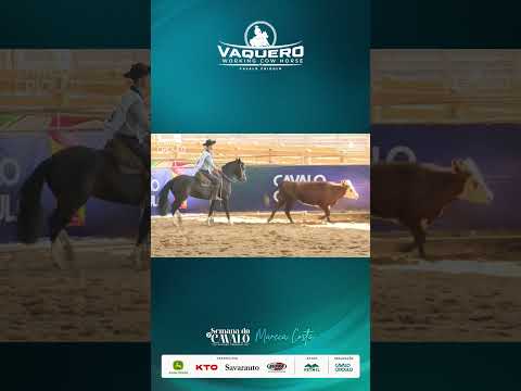 Campeão Potros - BOX 09 ZR MACEDONIA | VAQUERO/WORKING COW HORSE 2024