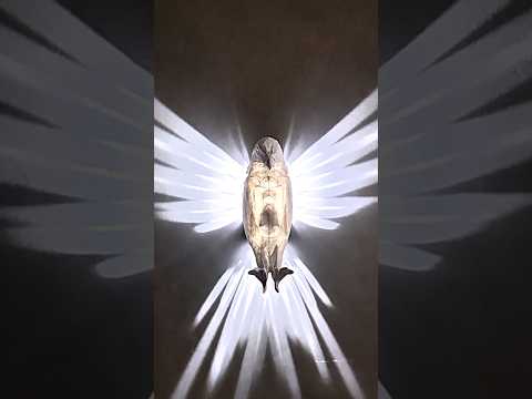 Eagle Shape Projector Light 3D Bird Wall Lamp