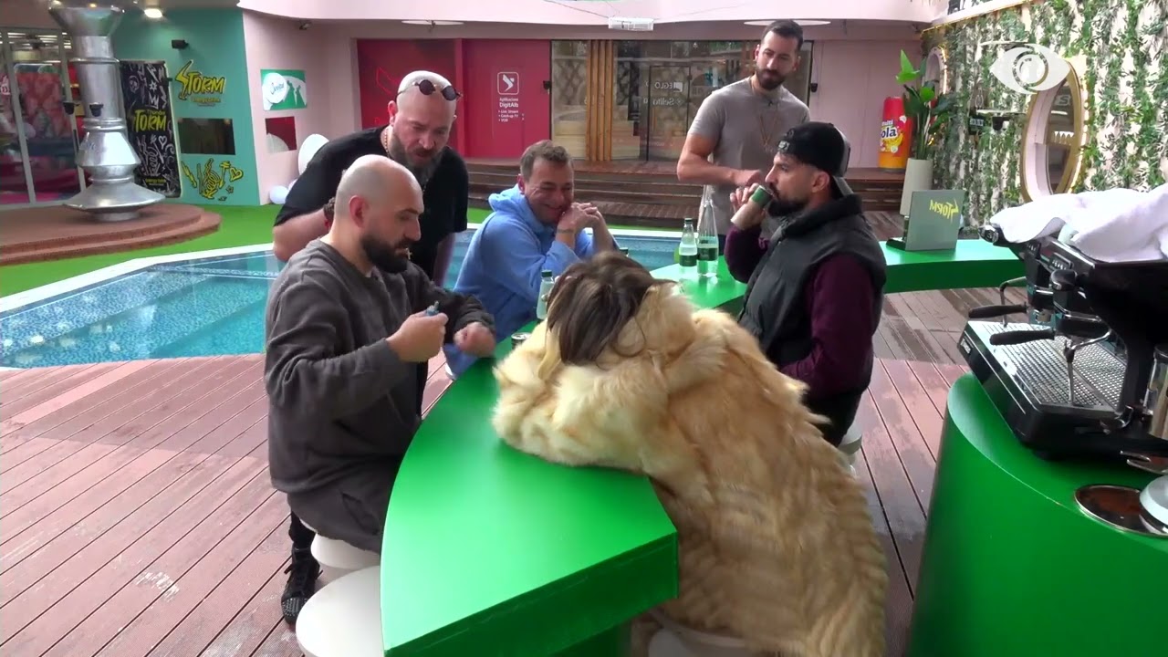 “Ore hajdut”/ Gerti dhe Bernardi debatojnë: Në kopshtin zoologjik e ke vendin