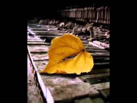 Escuta video