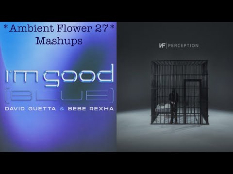 David Guetta/Bebe Rexha & NF - I'm Good [Blue] x My Stress (Mashup)