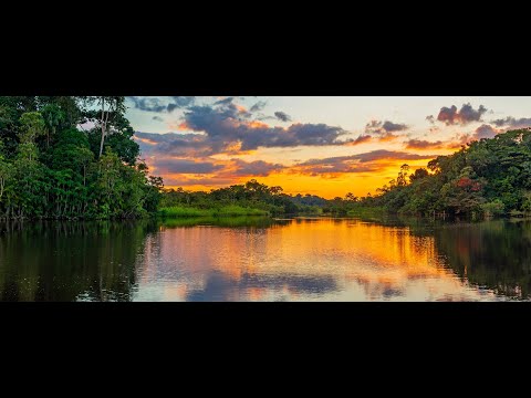 Imagem da selva - Canção Guarani/Português