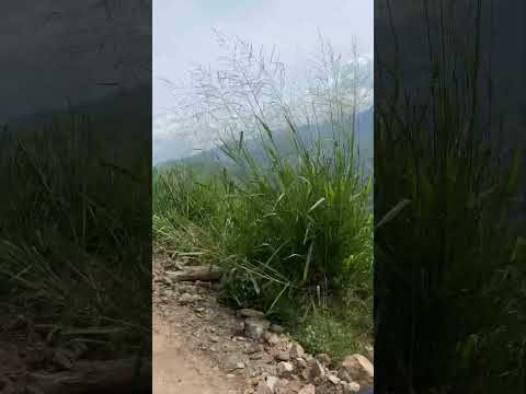 Hermosos paisajes desde Mesitas Hacari norte Santander #youtubeshorts #catatumbo